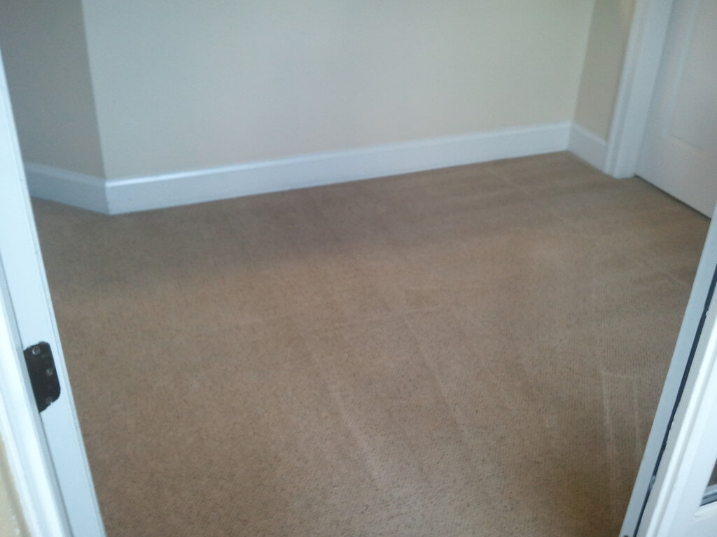 Carpet cleaning in Oak Grove, MS