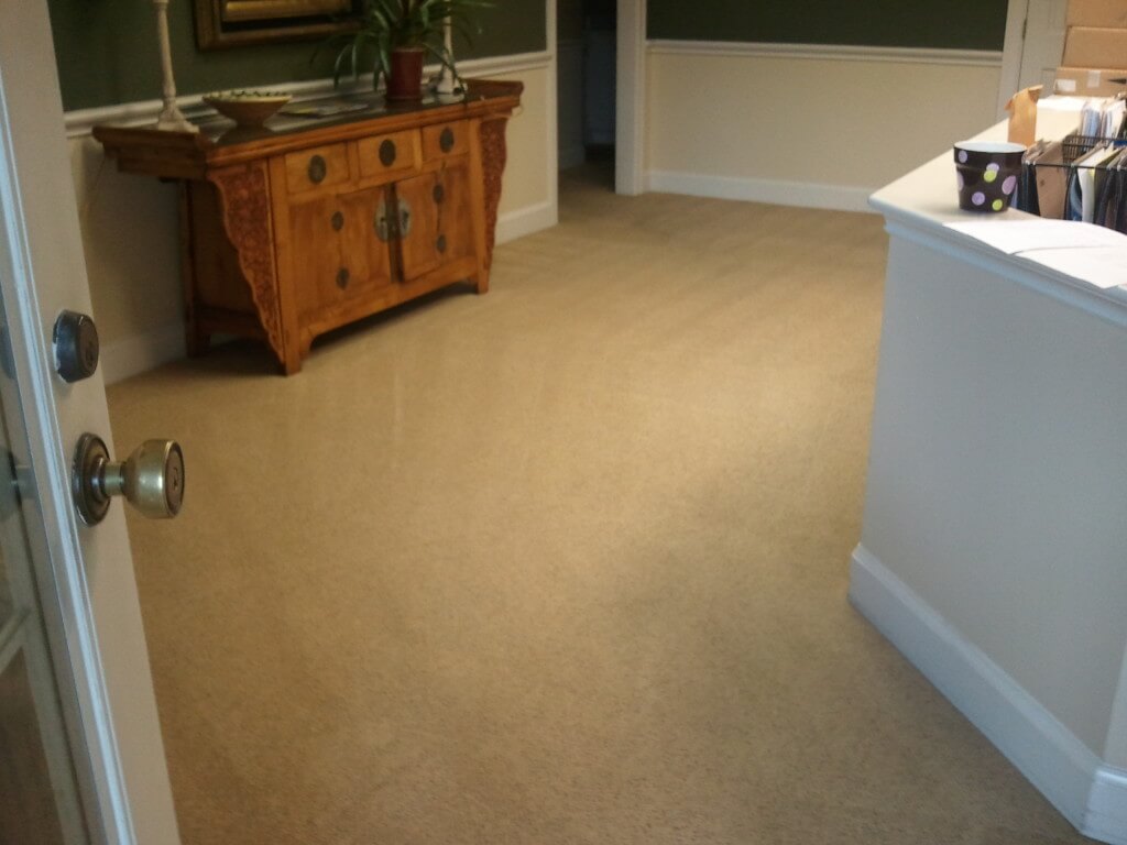 Carpet cleaning in Hattiesburg, MS