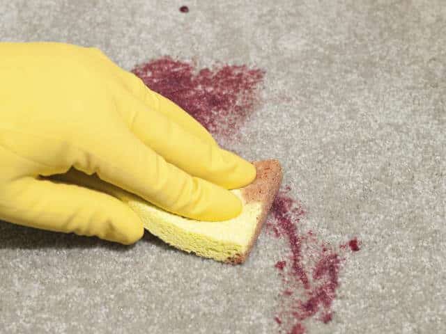 carpet spot and spill warranty Forrest County Mississippi MS