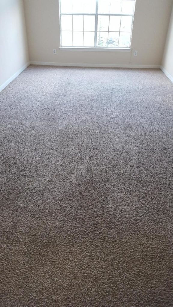 After Hydra Clean Carpet Cleaning