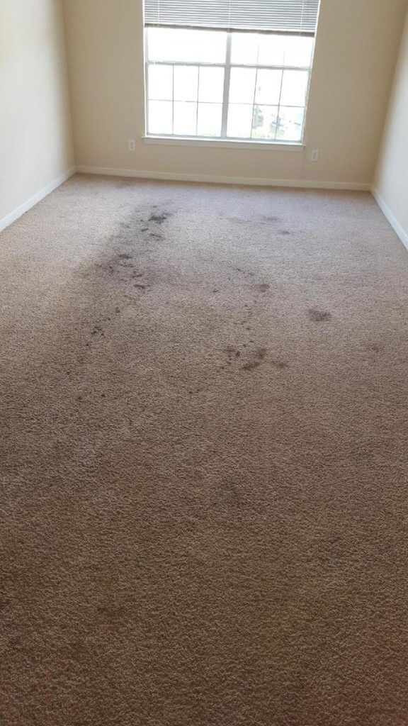 Before Hydra Clean Carpet Cleaning