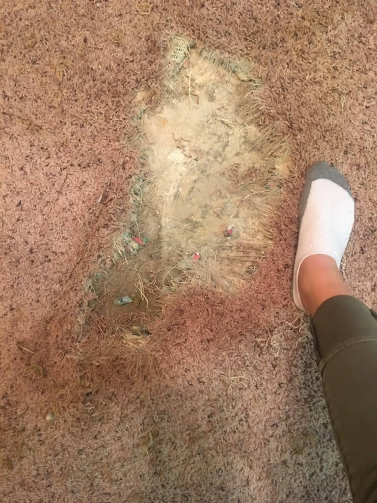 carpet repair in hattiesburg ms