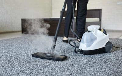 The Power of Steam: Why Hot Water Extraction Carpet Cleaning Works