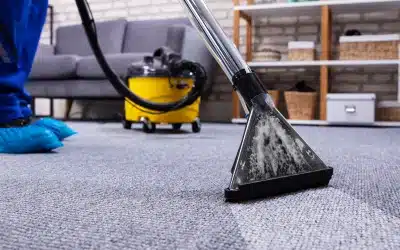 Breathe Easy With Carpet Cleaning Services That Remove Allergens And Dust Mites