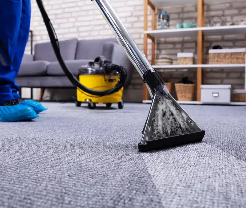 Get Spotless Carpets With Carpet Cleaners You Can Trust In Hattiesburg