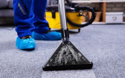 A Clean Home Is a Happy Home: The Value of Professional Carpet Cleaning