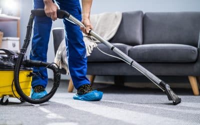 Carpet Cleaning Experts: Protecting Your Health and Your Investment
