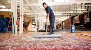 carpet cleaner employee