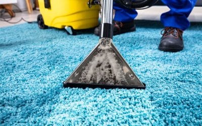 Unlocking the Secrets to Carpet Care: Expert Insights from Glendale, MS