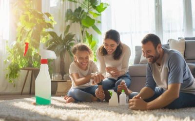 Eco-Friendly Carpet Cleaning Solutions for Homes