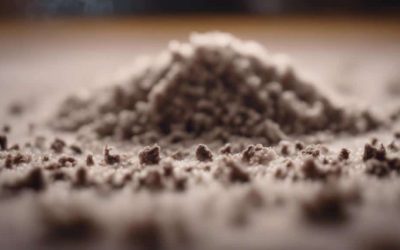 Mississippi Mud: Pro Tips for Keeping Your Carpets Clean After Rainy Days