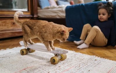 How to Keep Carpets Fresh in Homes With Kids and Pets