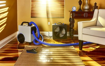 Removing Musty Odors After Water Cleanup: Why Drying Speed Matters
