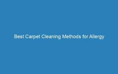 Best Carpet Cleaning Methods for Allergies: Steam, HEPA & More