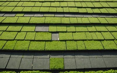 How Regular Roof Cleaning Protects Your Home Investment