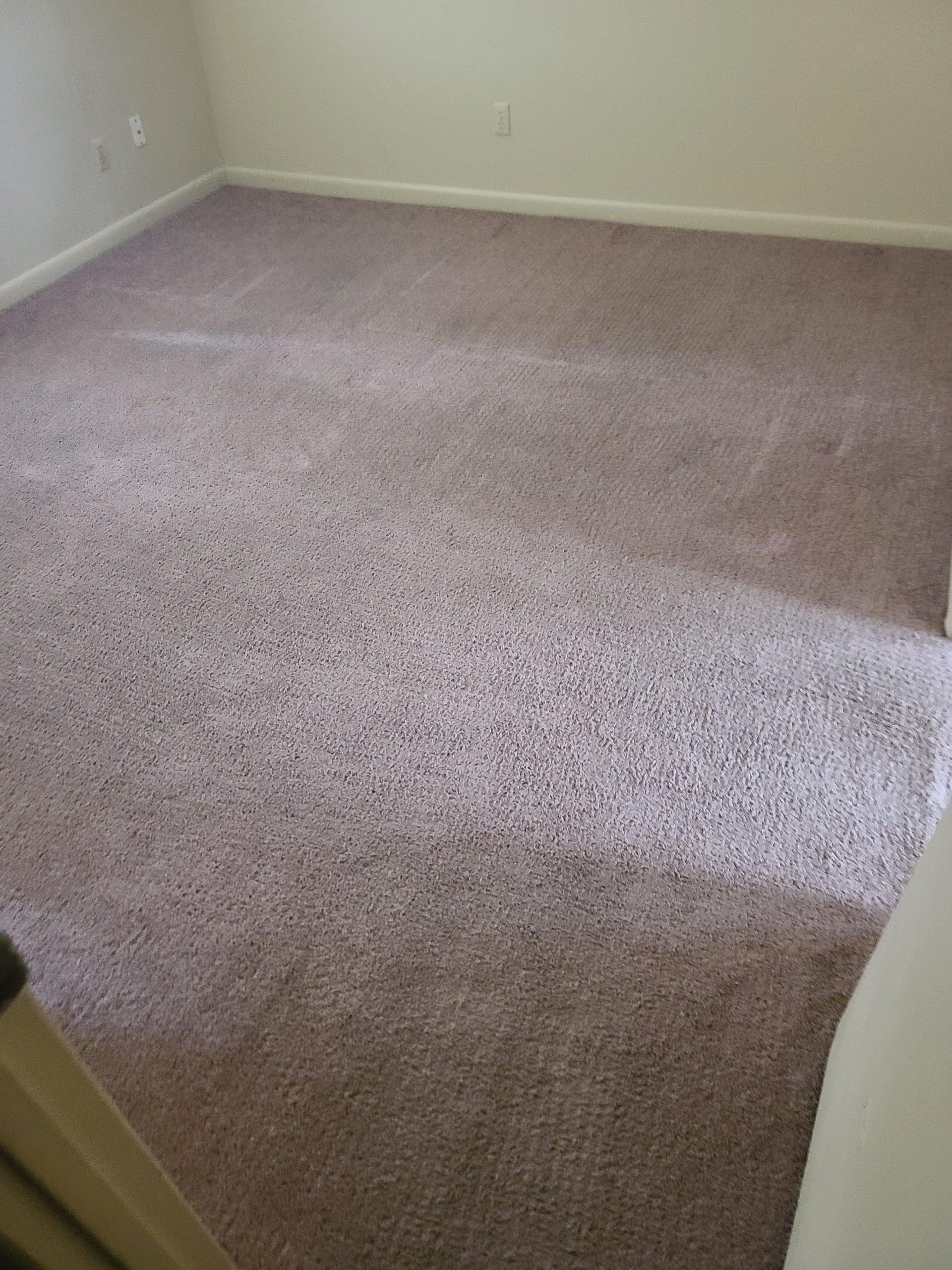HC-pet-room-10