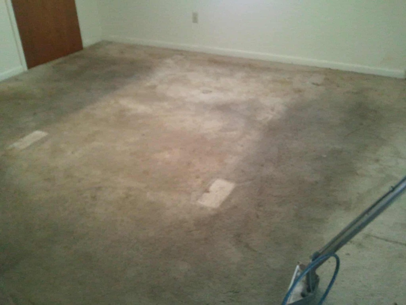 What to Expect During a Residential Carpet Cleaning Appointment