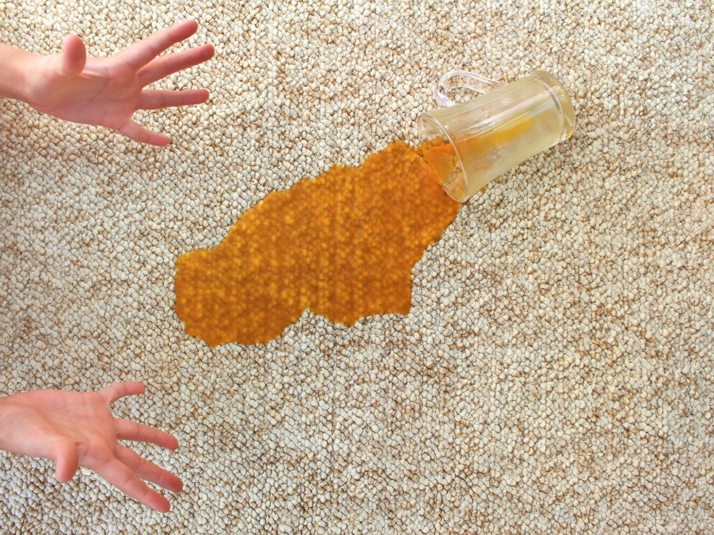Quick Tips to Protect Your Carpets Between Cleanings