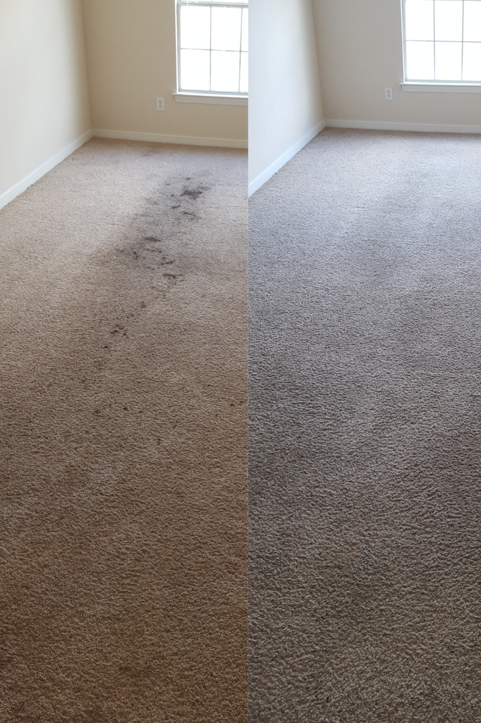 Carpet cleaning before and after - pet stain removal Hattiesburg MS