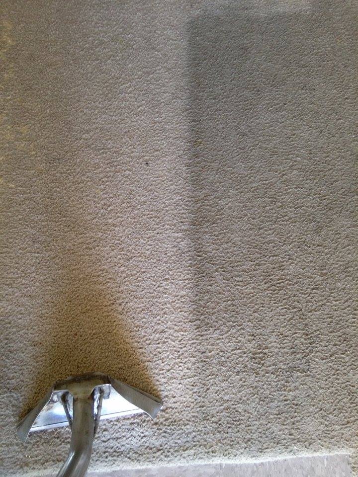 hc-carpet-halfclean-before-after