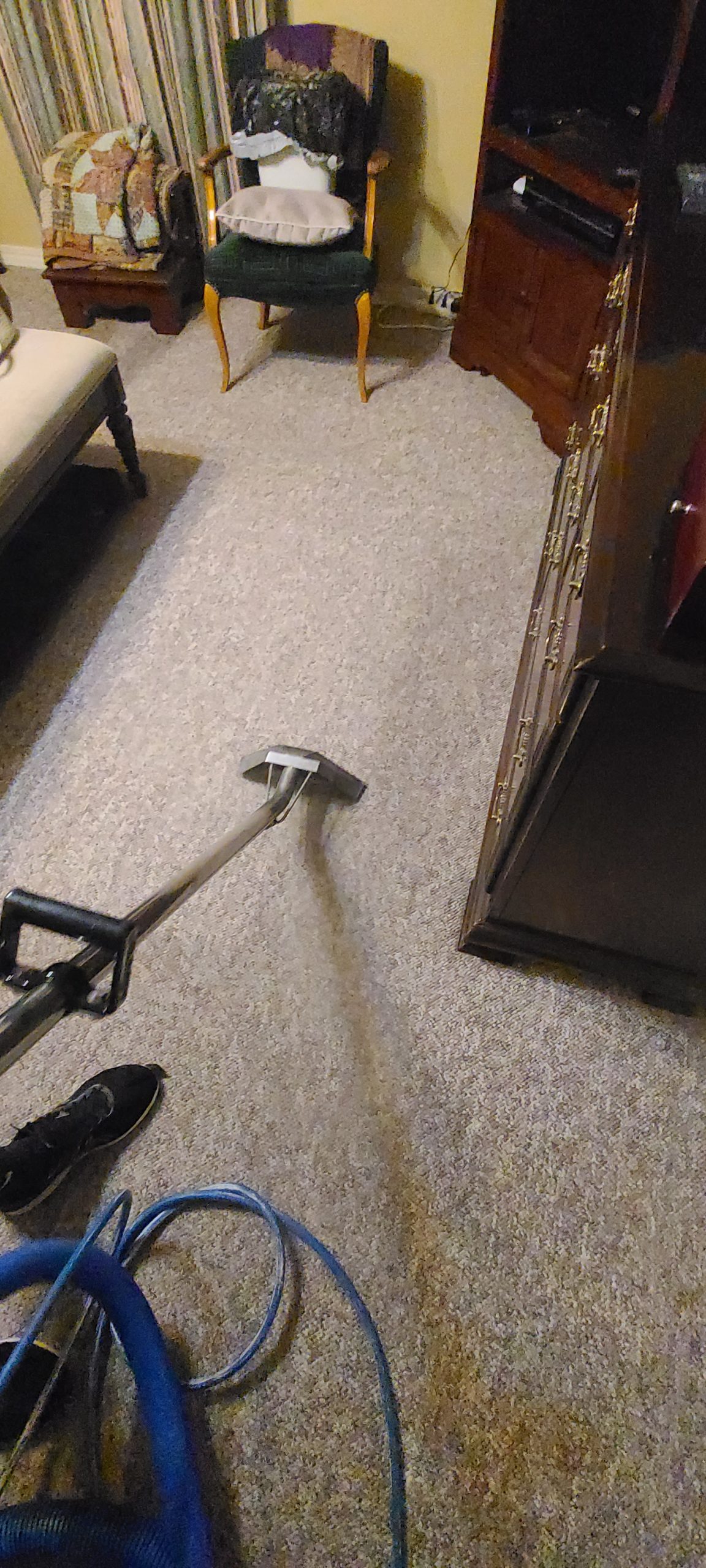 Hydra Clean technician cleaning carpet with a professional extraction wand
