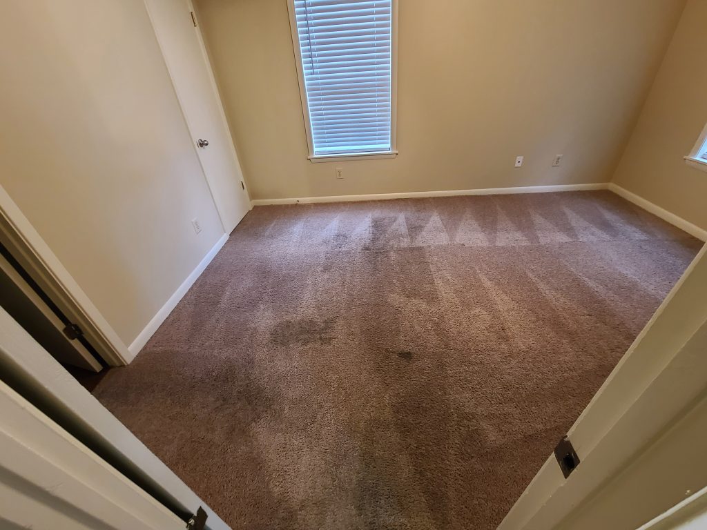 Carpet during professional cleaning - stains being removed - Hattiesburg MS