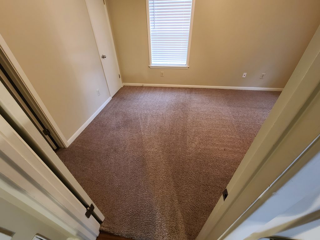 Freshly cleaned bedroom carpet - Hattiesburg MS