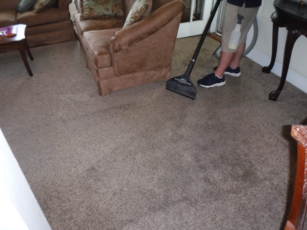 Clean carpet in a residential living room