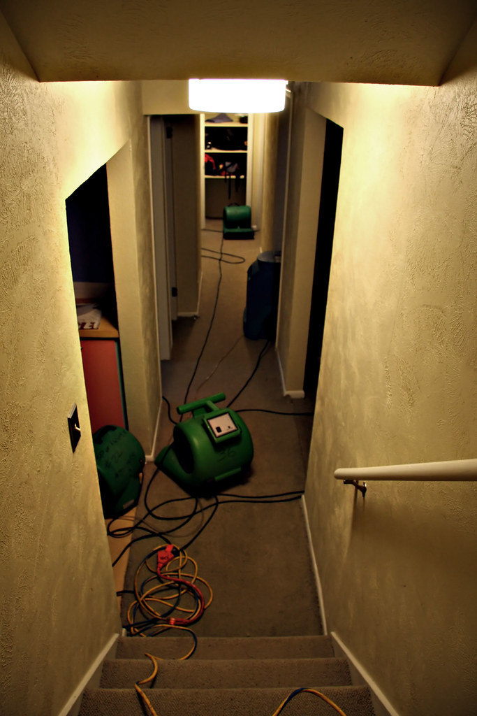 Air movers drying water-damaged carpet in a home. Photo: AMagill via Flickr, CC BY 2.0.