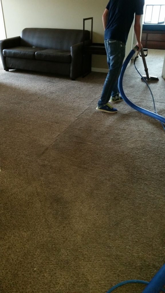 Hydra Clean technician performing professional carpet cleaning for a maintenance plan