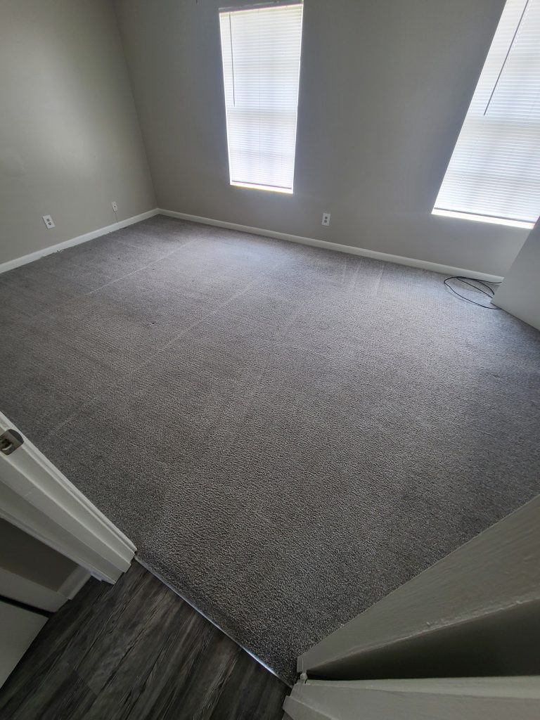 Freshly cleaned residential carpet
